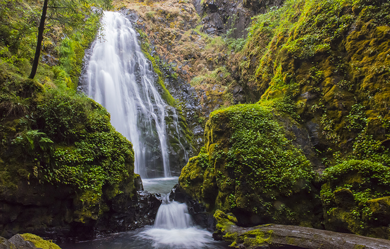 Susan Creek, waterfall, pools, green, enchanted forest