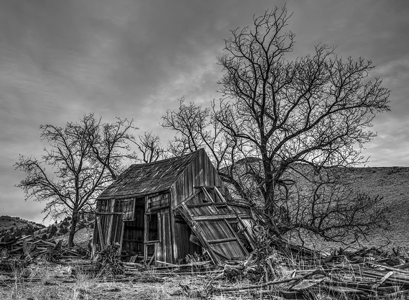 forgotten; weather; storm; monochrome; black and white; ranch; farm; history; tree; trees; ruin; falling; stormy; cloud; clouds; cloudy; dilapidated; decay; abandoned; old west; pioneer; scene; scenic; Loree Johnson
