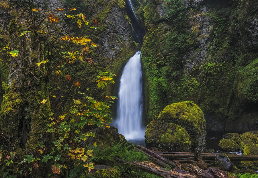 Perfect Autumn Waterfall; Wahclella Falls; Columbia River Gorge; Oregon; or; tanner creek; waterfall; autumn; colors; colorful; fan; deep; spray; mist; rock; water; scene; scenic; travel; nature; natural; in; and; the; a; on; over; to; of; with; under; above; against; Loree Johnson