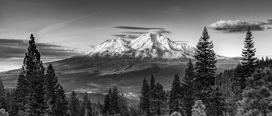 Days End; Black and White; Mount Shasta; Mt. Shasta; hiking; hike; sunset; cloud; clouds; dusk; evening; tree; trees; blue; mountain; snow; nature; natural; scene; scenic; Loree Johnson