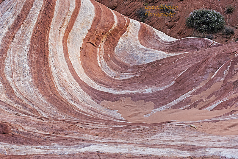 The Fire Wave is a pink and white sandstone formation in Valley of Fire State Park, Nevada.